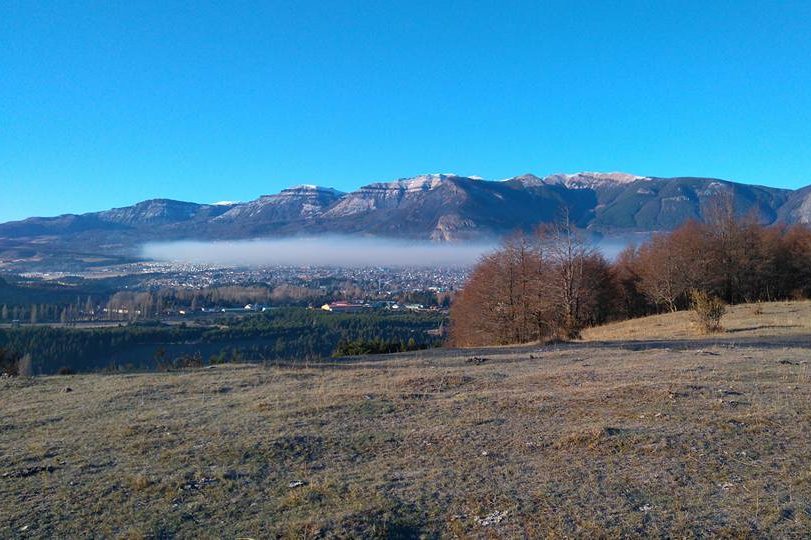 Piden al Ejecutivo medidas medioambientales