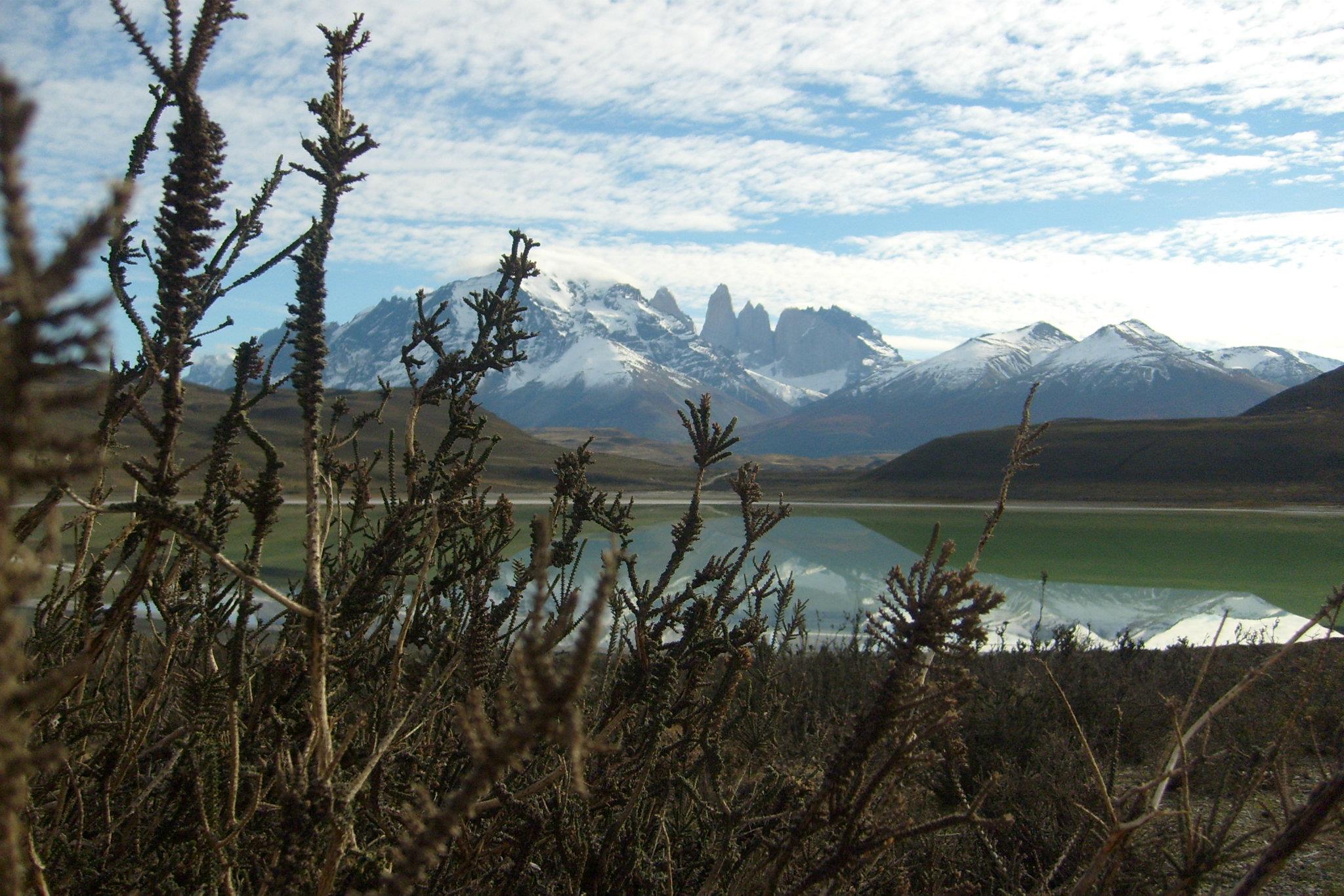 Torres del Paine