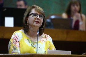 Diputada Hernando