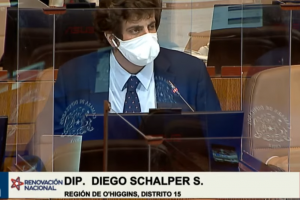 Dip. Diego Schalper