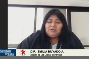 Dip. Emilia Nuyado rinde el informe