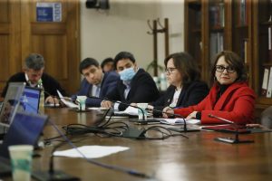 Ministra en Comisión de Minería