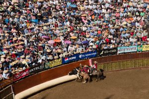 Champion del rodeo