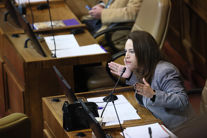 Dip. Joanna Pérez en el debate