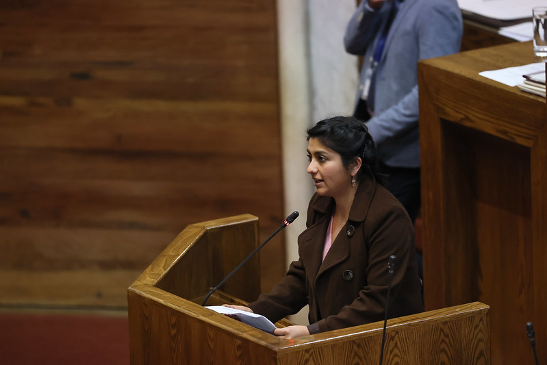 Dip. Camila Rojas rinde el informe del proyecto que enmienda la Ley de Presupuestos