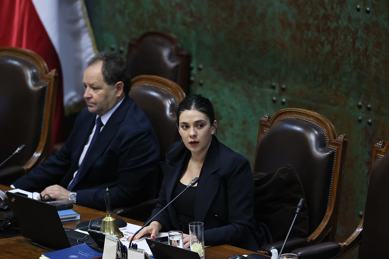 Presidenta de la Cámara, diputada Karol Cariola