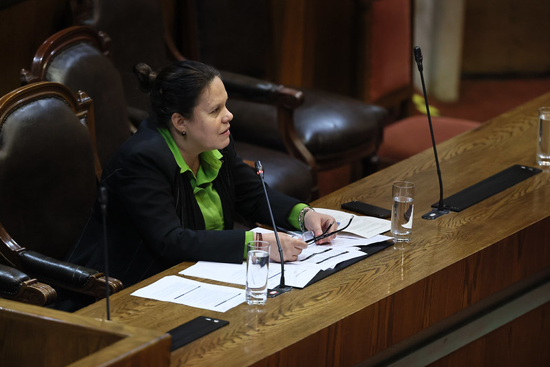 Ministra de Defensa en el debate de la solicitud para extender el apoyo de las FFAA en macrozona norte