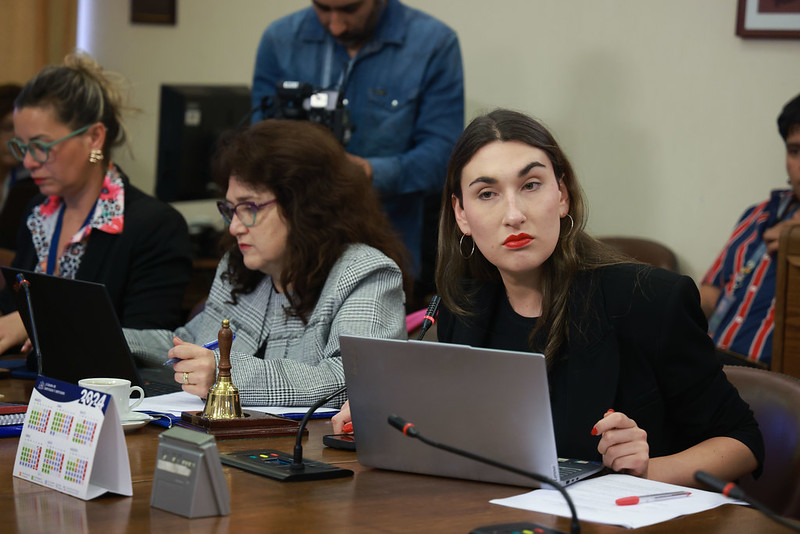 Dip. Emilia Schneider, presidenta de la comisión