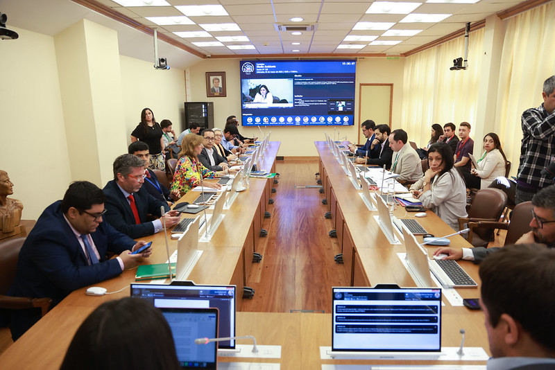 Medio Ambiente aprueba en general adoptar cambios a ley de tenencia responsable de mascotas