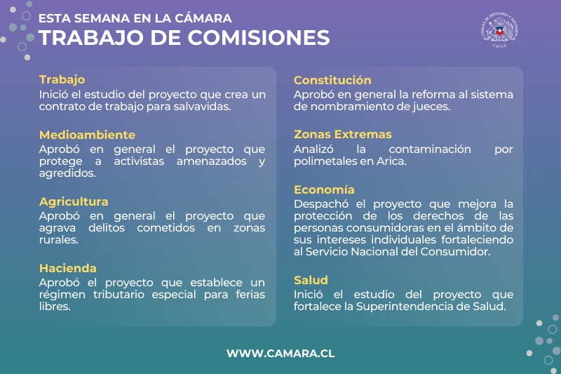 Contrato para salvavidas entre los temas que abordaron las comisiones 