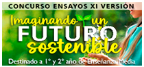 Concurso Ensayos 2025